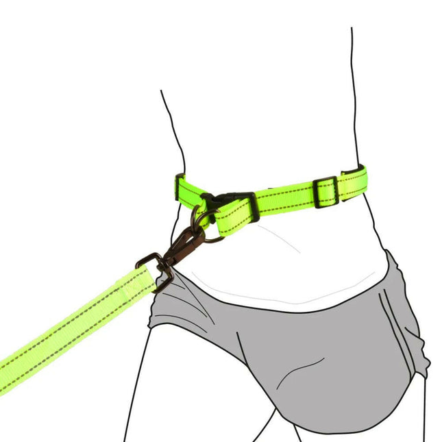 Flamingo Diran Jogging Leash Fluo - jogging leash for running with your dog, with a shock absorber.