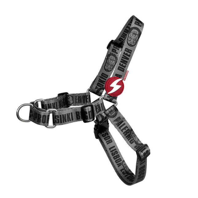 Dashi La Casa De Papel Melted Front Harness - Norwegian harness for dogs, inspired by the series Money Heist, graphite color.