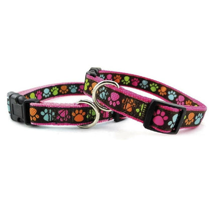 Record Zampine Collar - dog collar with colorful paw prints.