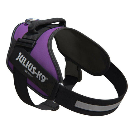 Julius - K9 IDC Powerharness Dark - high-quality harness, dog harness in dark purple.