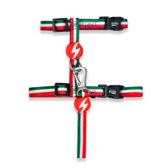 Dashi Stripes Green & Red Cat Harness + Leash - harness and leash for cats, set, green and red stripes.