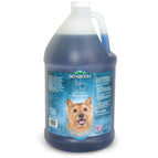 3,8L