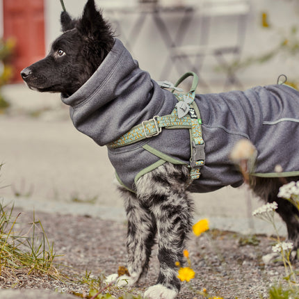 Hurtta Razzle - Dazzle Reflective Figures - reflective set for collars, leashes, and harnesses