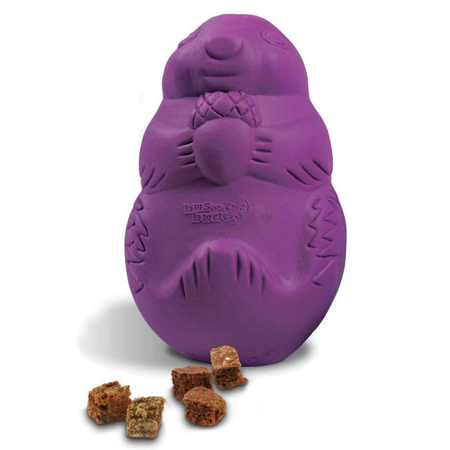 PetSafe Busy Buddy Squirrel Dude - chew toy for dog treats, squirrel.