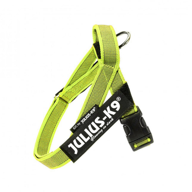 Julius - K9 Color & Gray Belt Harness Neon - Harness for Dogs, Neon - Mini - Mini.