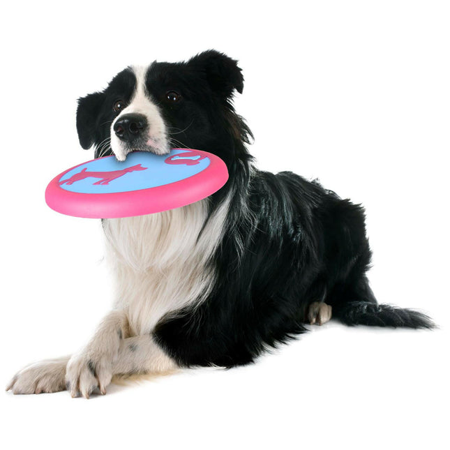 Flamingo Amelia Flying Disc - rubber frisbee for dogs.