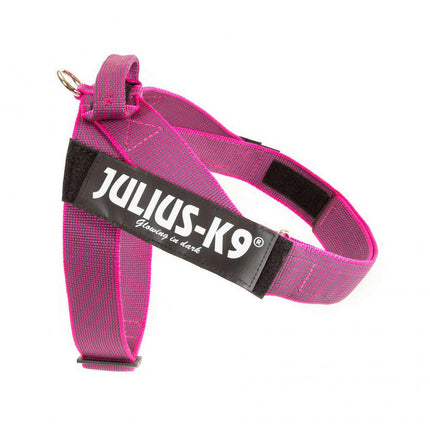 Julius - K9 IDC Color&Gray Belt Harness Pink - belt harness, dog harness, fuchsia.