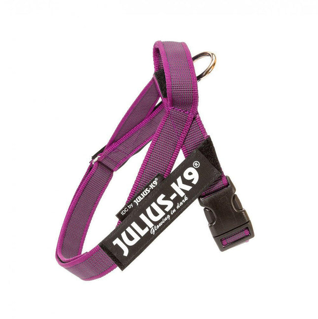 Julius - K9 IDC Color & Gray Belt Harness Pink - dog harness, fuchsia - Mini - Mini.