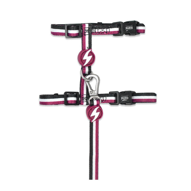 Dashi Stripes Purple & Black Cat Harness + Leash - cat harness and leash set, purple and black stripes.