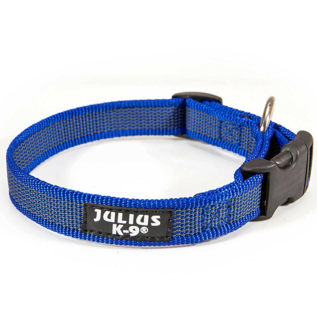 Julius K9 Color & Grey Collar - durable collar for dogs.