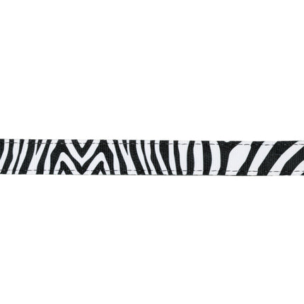 Max&Molly GOTCHA! Smart ID Cat Collar - colorful collar for cats with a smart Tag pendant.
