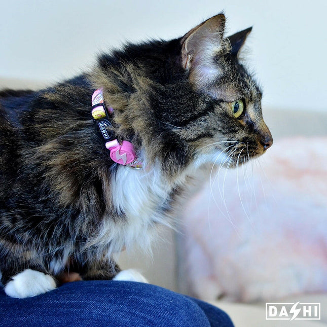 Dashi Donut Cat Collar - colorful cat collar, donut pattern.