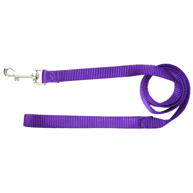 Hamilton Single Thick Leash Long - nylon leash for small breed dogs, width 16mm, length.