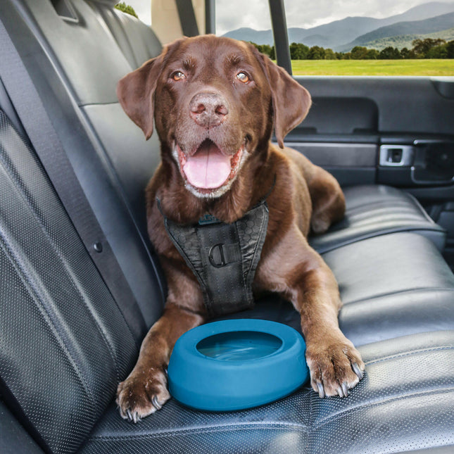 Kurgo Splash Free Wander Dog Water Bowl - splash-proof dog bowl.