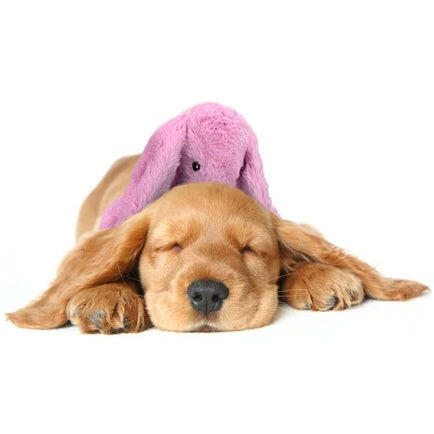 Holland Heartwarming Buddy - plush rabbit, calming cuddle toy for dogs mimicking a heartbeat.