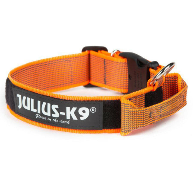 Julius K9 Color & Gray Collar with Handle - dog collar with handle and safety lock.