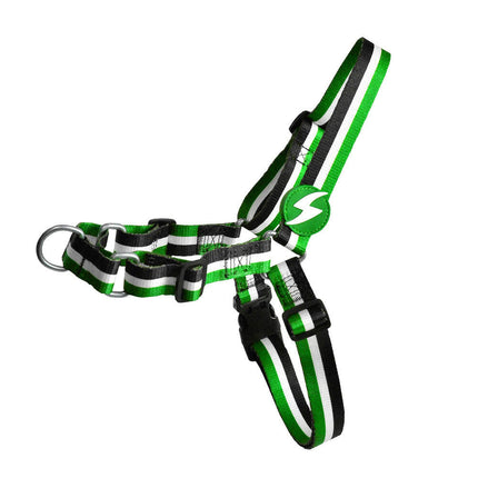 Dashi Stripes Green & Black Front Harness - Norwegian harness for dogs, no-pull, green and black stripes.