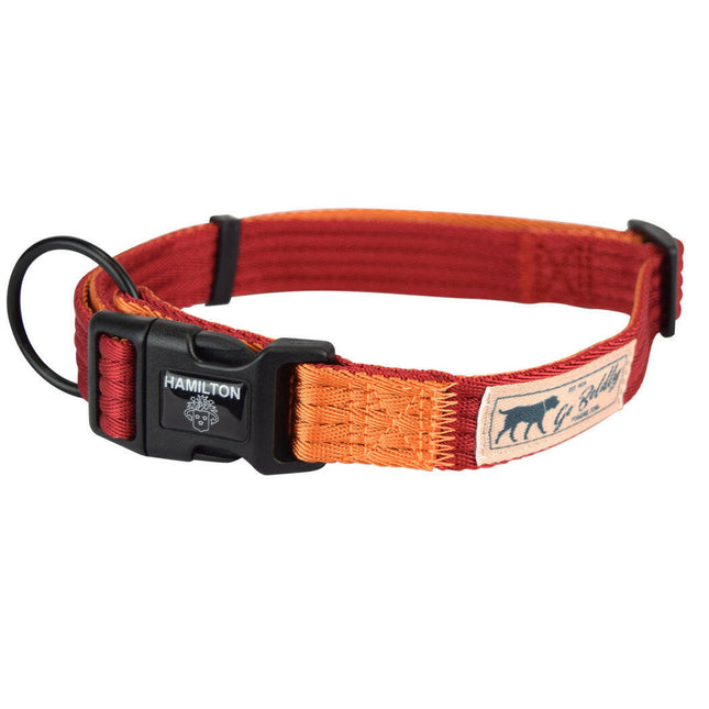 Hamilton Go Boldly Adjustable Collar Size - adjustable collar for dogs, for medium and large breeds.