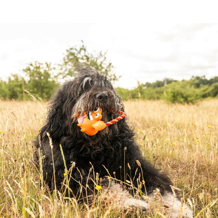 Max&Molly Lenny Krabitz - dog toy with rope, latex crab with squeaker.