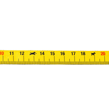 Max&Molly GOTCHA! Smart ID Cat Collar Ruler - colorful collar for cats with a smart Tag pendant.