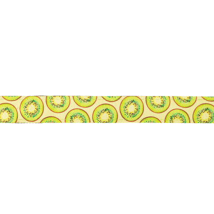 Max&Molly GOTCHA! Smart ID Cat Collar Kiwi - colorful collar for cats with a smart Tag pendant.