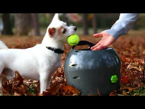 PetSafe Automatic Ball Launcher automatic ball launcher for dogs