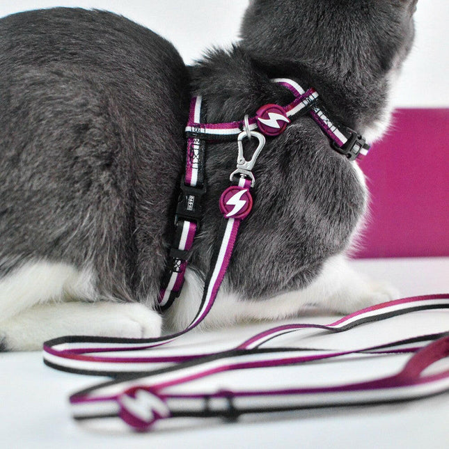 Dashi Stripes Purple & Black Cat Harness + Leash - cat harness and leash set, purple and black stripes.