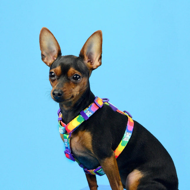 Dashi Betty You Back Harness - adjustable guard harness for dogs, pattern from the Betty Boop series.
