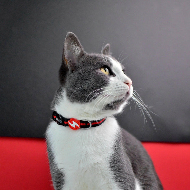 Dashi Stripes Red & Black Cat Collar - red and black striped collar for cats.