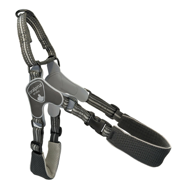 Coralpina Fiames Harness - lightweight adjustable harness for medium and large dogs.