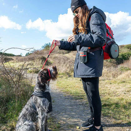 KONG Travel Pick-Up Pouch - bag for used dog waste bags.