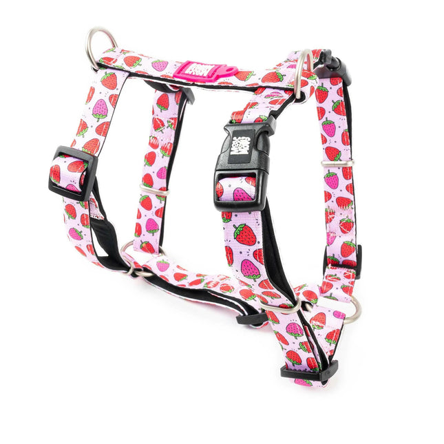 Max&Molly H - Harness Strawberry Dream - colorful harnesses for dogs and puppies, adjustable.