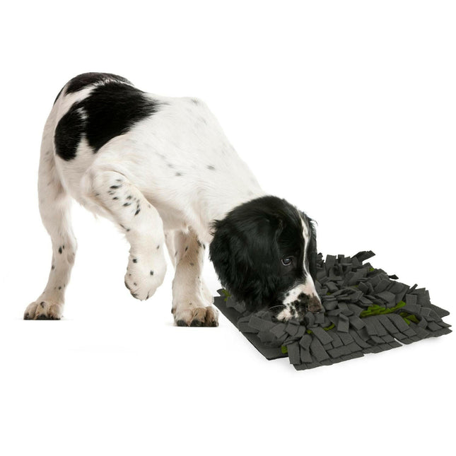 Flamingo Amigo Sniffing Carpet grey/green - rectangular sniffing mat for dogs - 40 - 50cm.