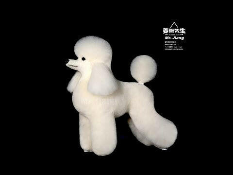 Mr. Jiang Poodle Full Body Hair Lamb - interchangeable fur for Toy Poodle grooming mannequin.