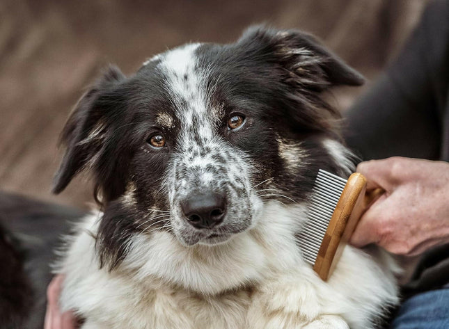 Mikki Bamboo Anti-Tangle Rake - bamboo comb with medium tooth spacing and rotating pins.