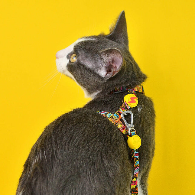 Dashi Boom Cat Harness + Leash - harness and leash set for cats, comic pattern.