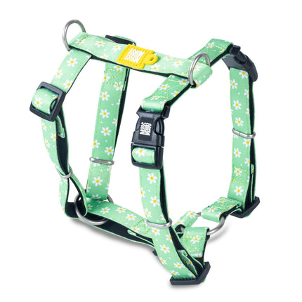 Max&Molly H - Margarite Harness - colorful harnesses for dogs and puppies, adjustable.