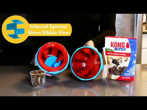 KONG Treat Spinner L - large capacity treat toy for dogs.