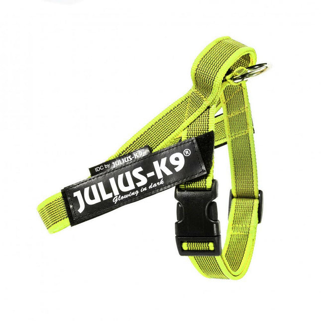 Julius - K9 Color & Gray Belt Harness Neon - dog harness, neon.