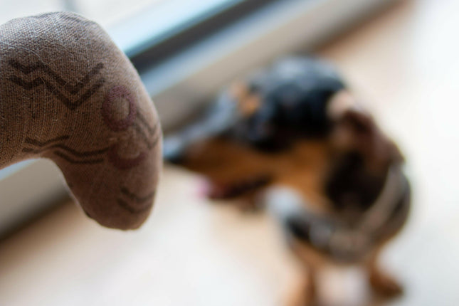 Kiwi Walker 4 Elements Eco Worm - eco-friendly dog toy, minimalist worm.