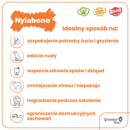 Nylabone Extreme Big Chicken - strong chew toy for large dogs, chicken flavor.