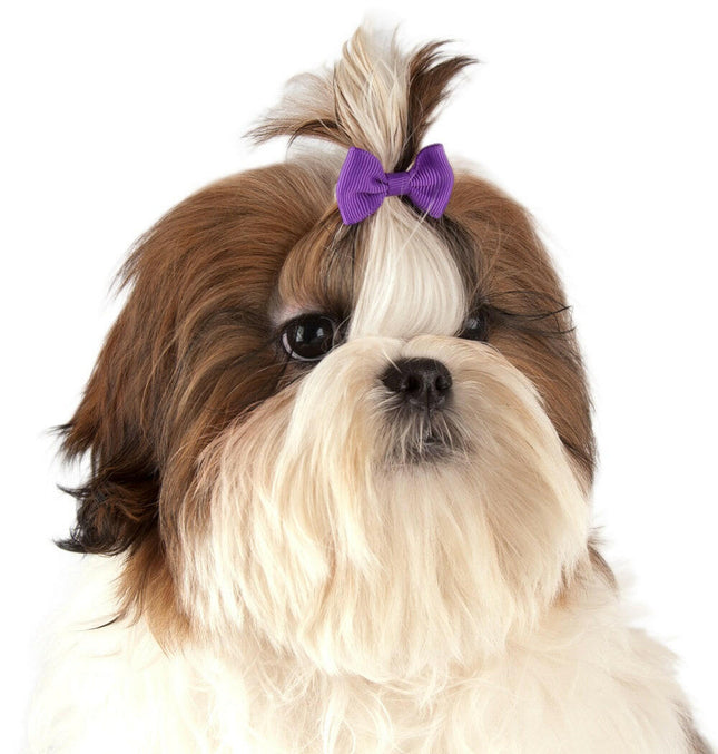 Show Tech Multicolor Bows 50 pcs - colorful bows on elastic bands for dogs.