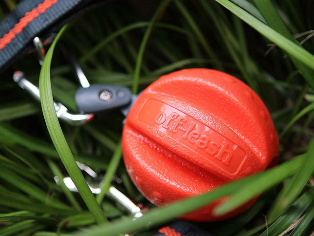 Dexas Off-Leash Ball - Floating Dog Ball with Carabiner.