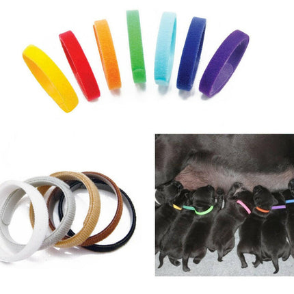 Doogy - colorful identification collars for puppies 12pcs.