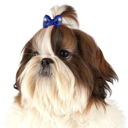 Show Tech Argyle Bows 50pcs - stylish, colorful bows on elastic bands for dogs.