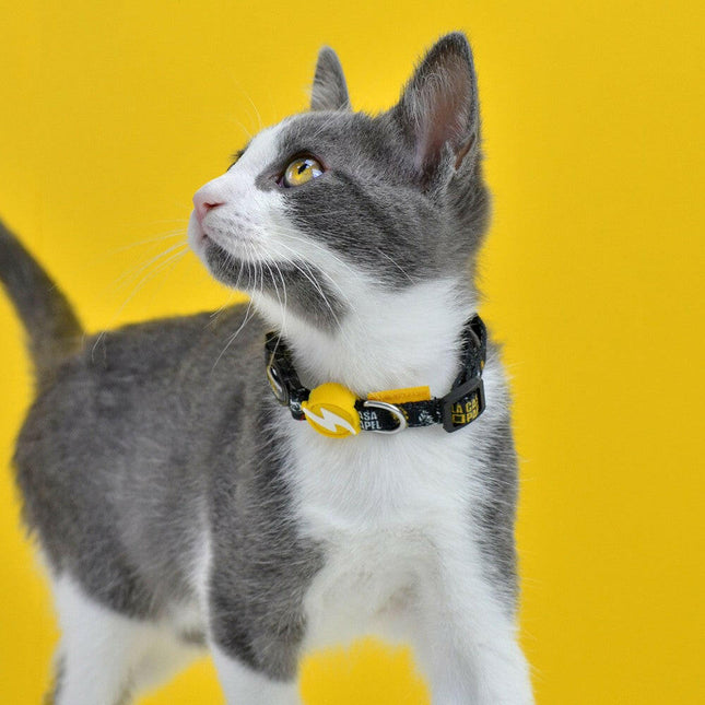 Dashi La Casa De Papel Golden Cat Collar - cat collar with a Money Heist theme.