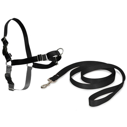 PetSafe Easy Walk Harness - harness and leash set for dogs.