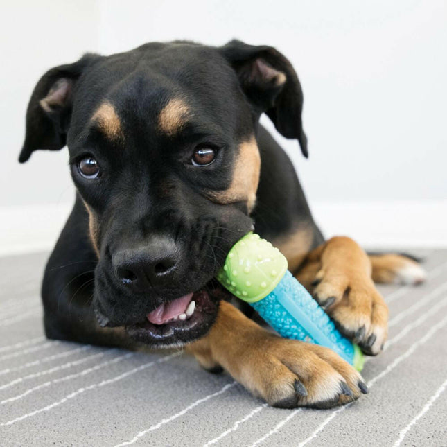 KONG CoreStrength - rubber bone for dogs, with a reinforced core.