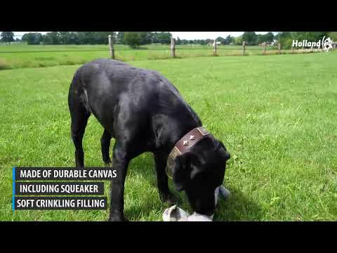 Holland Country Dog Lucky - plush dachshund for dogs.