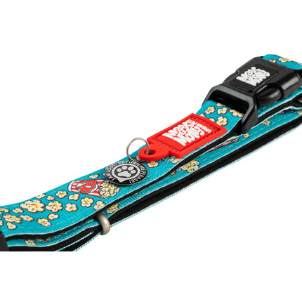 Max & Molly GOTCHA! Smart ID Popcorn Collar - smart tag collar for dogs.